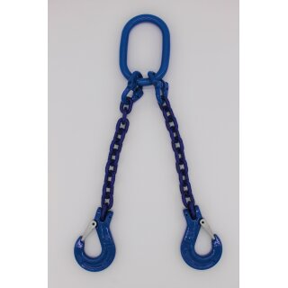 Lifting chain grade 10 2-strand 6.0 m 13 mm without shortening blue