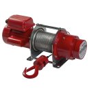 Delta electric winch type DPS 250 kg