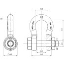 Hochfeste Schäkel mit Mutter und Splint Tragfähigkeit: 8,5 t geschweift