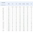High tensile shackle Load capacity: 2,0 t D-shape